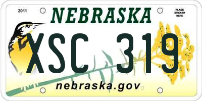 NE license plate XSC319