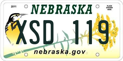 NE license plate XSD119