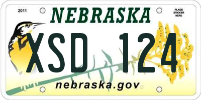 NE license plate XSD124