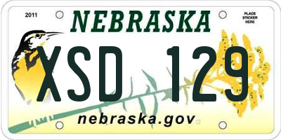 NE license plate XSD129