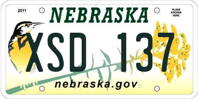 NE license plate XSD137