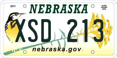 NE license plate XSD213