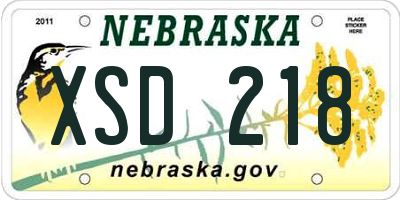 NE license plate XSD218
