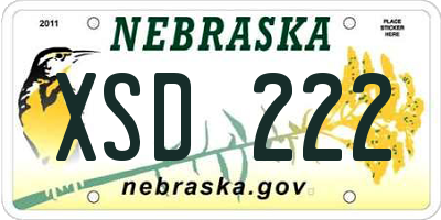 NE license plate XSD222