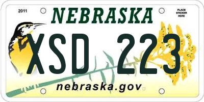 NE license plate XSD223
