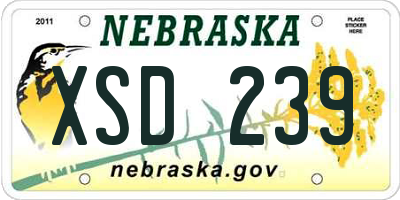 NE license plate XSD239