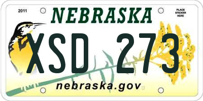 NE license plate XSD273