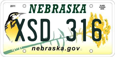 NE license plate XSD316