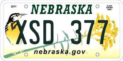 NE license plate XSD377