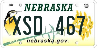 NE license plate XSD467