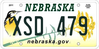 NE license plate XSD479