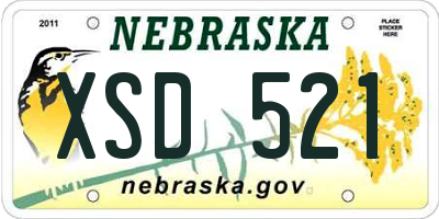 NE license plate XSD521