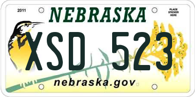 NE license plate XSD523