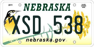NE license plate XSD538