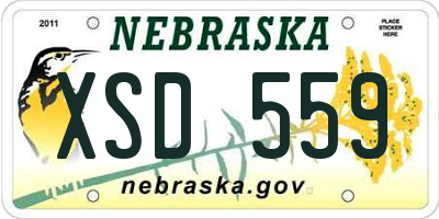 NE license plate XSD559