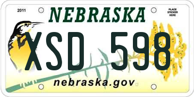 NE license plate XSD598