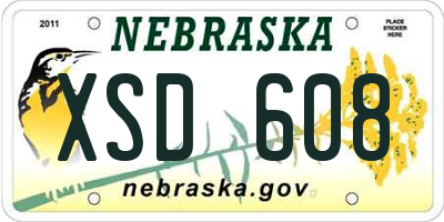 NE license plate XSD608