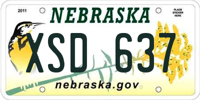 NE license plate XSD637