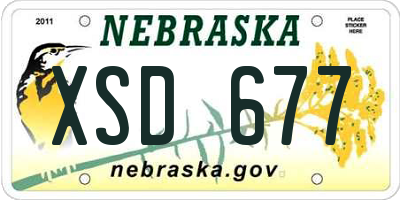 NE license plate XSD677