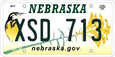 NE license plate XSD713
