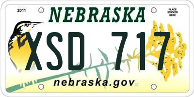 NE license plate XSD717