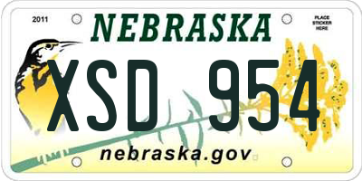NE license plate XSD954