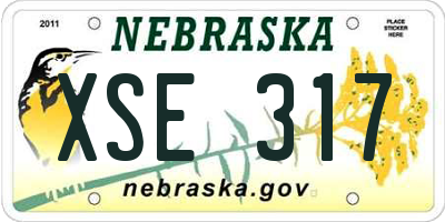 NE license plate XSE317