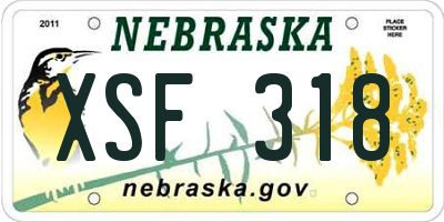 NE license plate XSF318