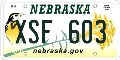 NE license plate XSF603