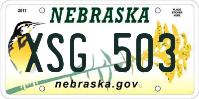NE license plate XSG503