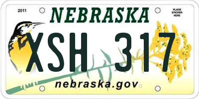 NE license plate XSH317