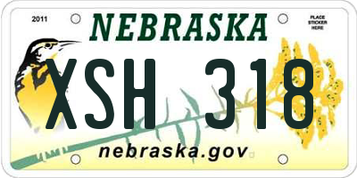 NE license plate XSH318