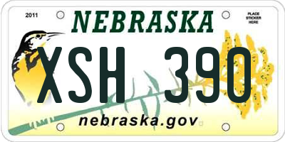 NE license plate XSH390