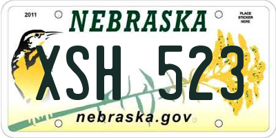 NE license plate XSH523