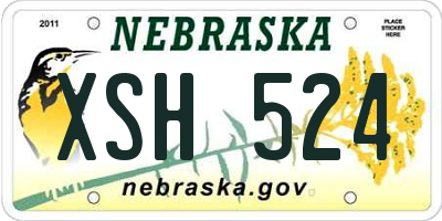 NE license plate XSH524