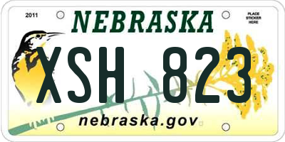 NE license plate XSH823