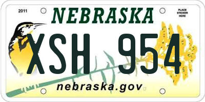NE license plate XSH954
