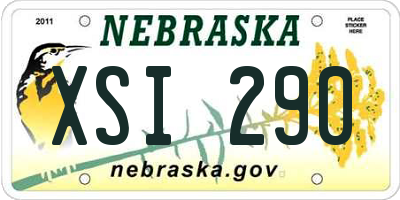 NE license plate XSI290