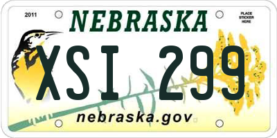 NE license plate XSI299