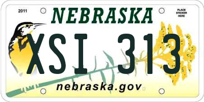 NE license plate XSI313