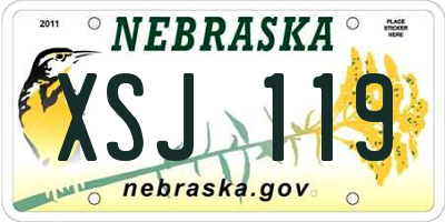 NE license plate XSJ119