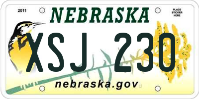 NE license plate XSJ230