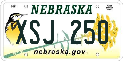 NE license plate XSJ250