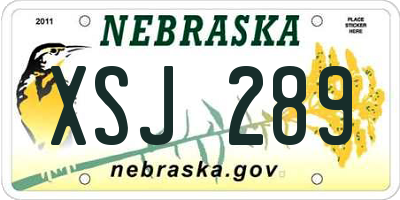 NE license plate XSJ289