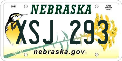 NE license plate XSJ293