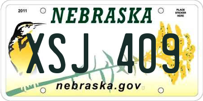 NE license plate XSJ409