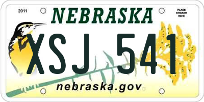 NE license plate XSJ541