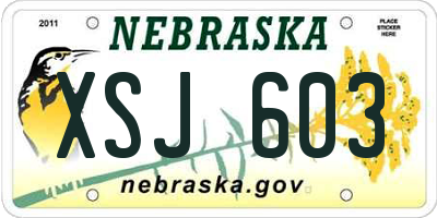 NE license plate XSJ603