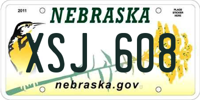 NE license plate XSJ608