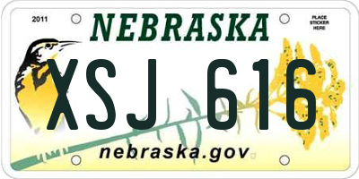 NE license plate XSJ616